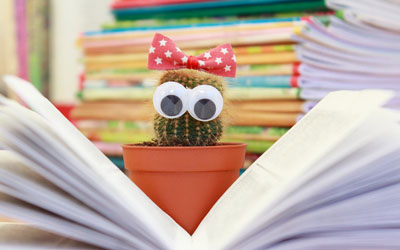 在线手机号轰炸机